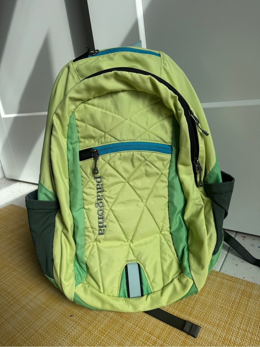Patagonia Violeta 25L Yellow and Green Quilted Daypack Backpack